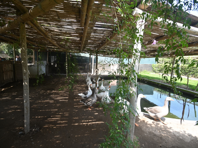 place photo 26