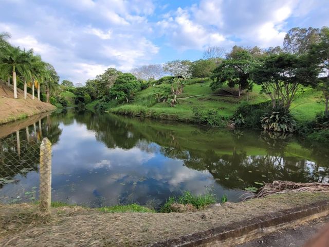 place photo 41