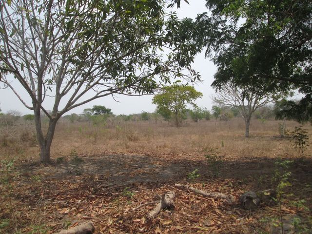 place photo 27