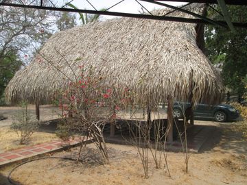place photo 14
