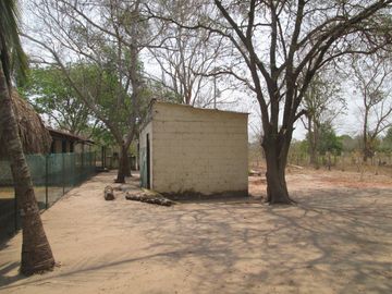 place photo 16