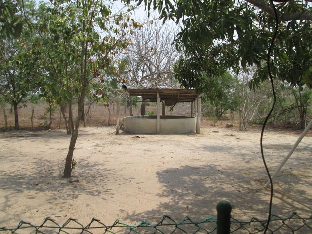 place photo 18