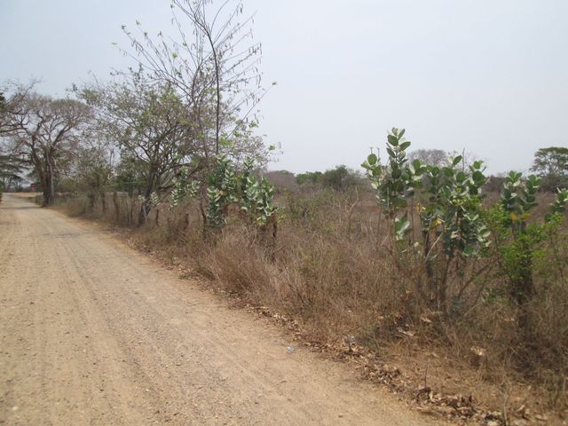 place photo 20