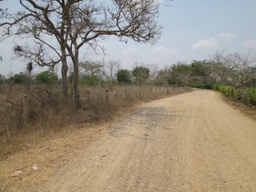 place photo 21