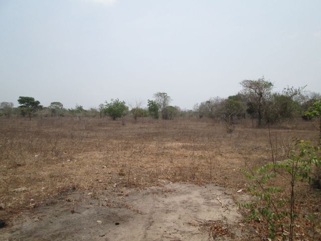 place photo 28
