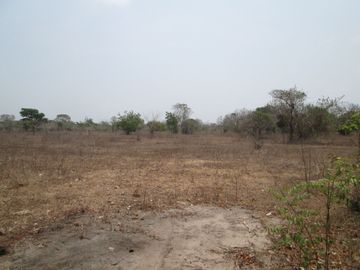 place photo 28