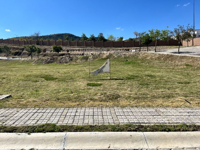 place photo 21