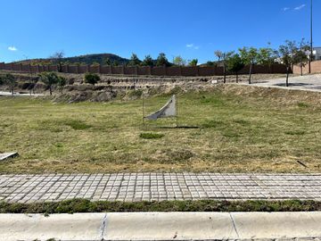 place photo 21