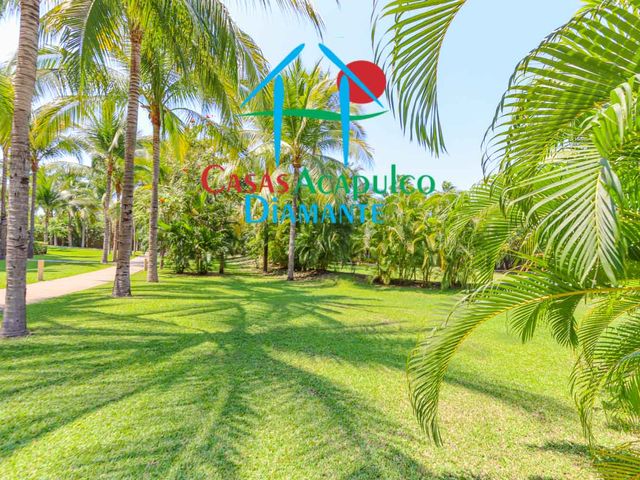 place photo 57