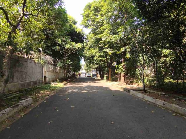 place photo 10