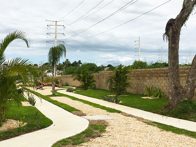 place photo 26