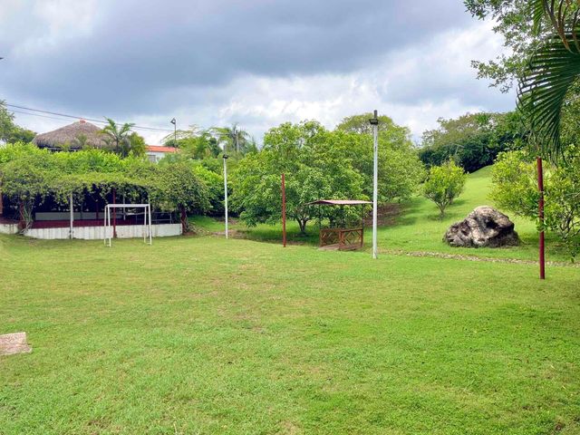 place photo 39