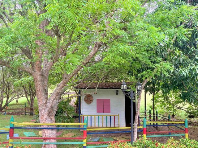 place photo 29