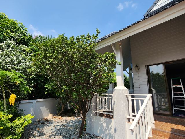 place photo 47