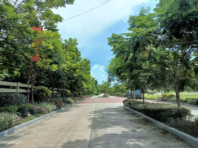place photo 51