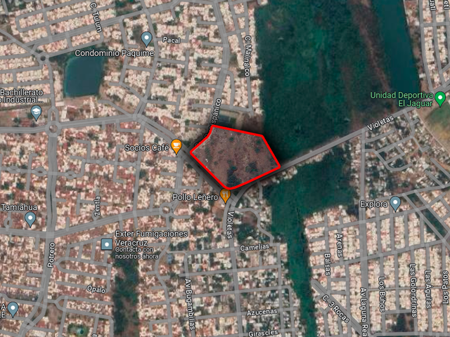 place photo 3