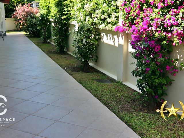 place photo 33