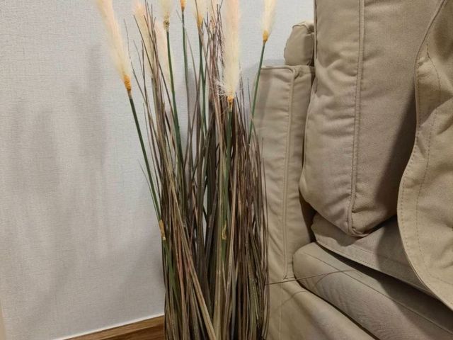 place photo 42