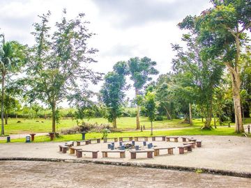 place photo 28