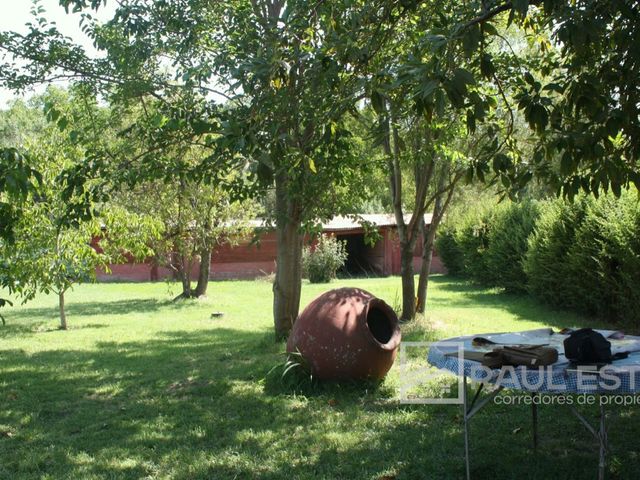place photo 23