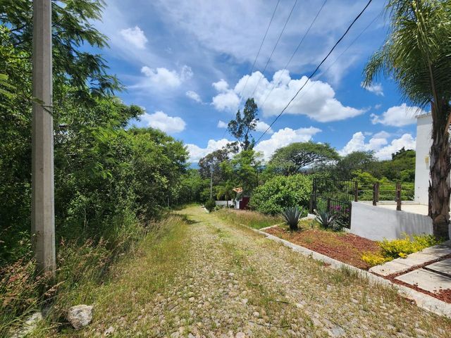 place photo 35