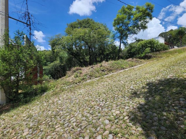 place photo 40
