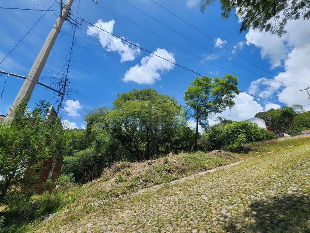 place photo 41
