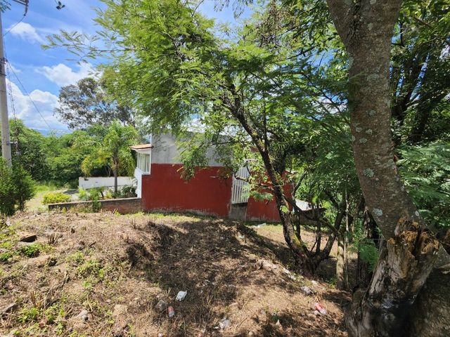 place photo 43