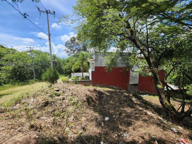 place photo 45