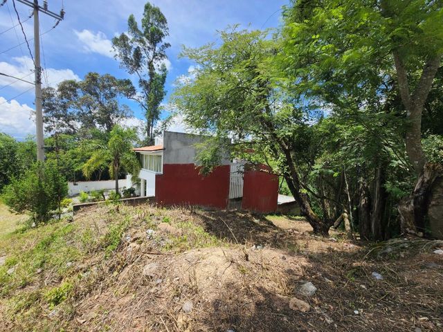 place photo 46
