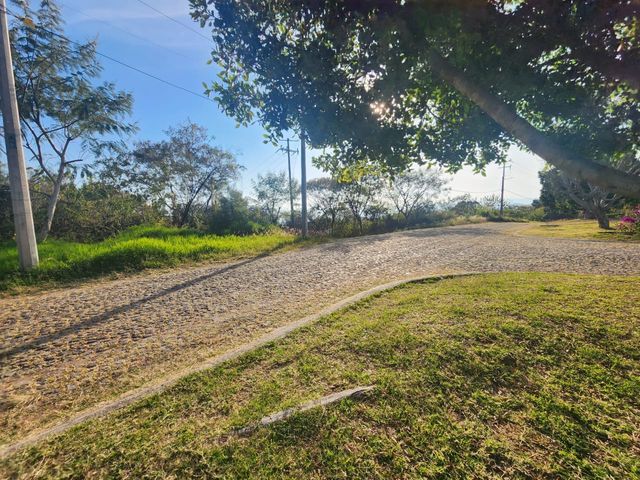 place photo 14