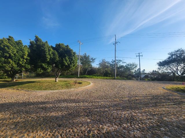 place photo 26