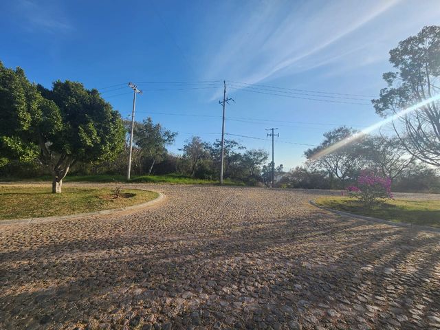 place photo 19