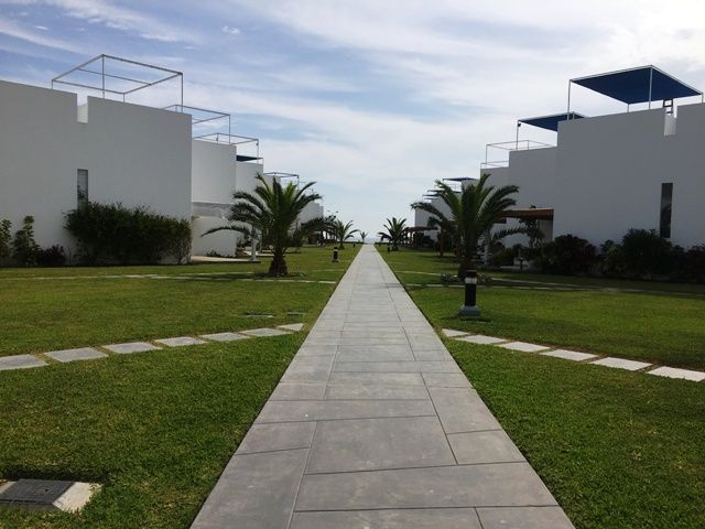 place photo 26