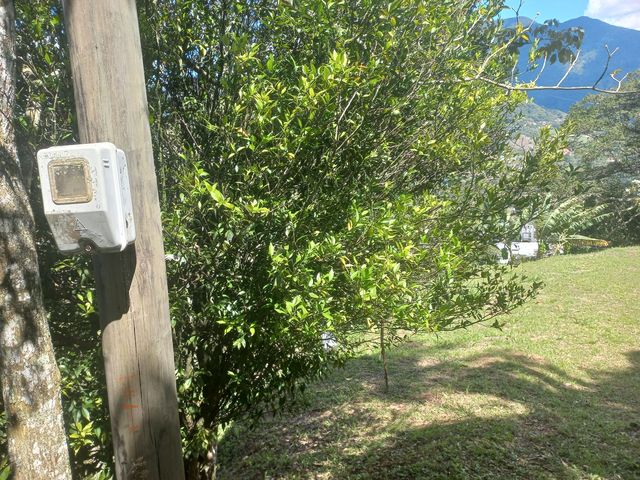 place photo 41