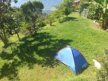 place photo 42