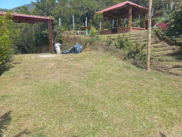 place photo 45