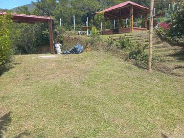 place photo 45