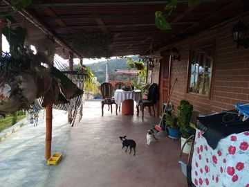 place photo 46