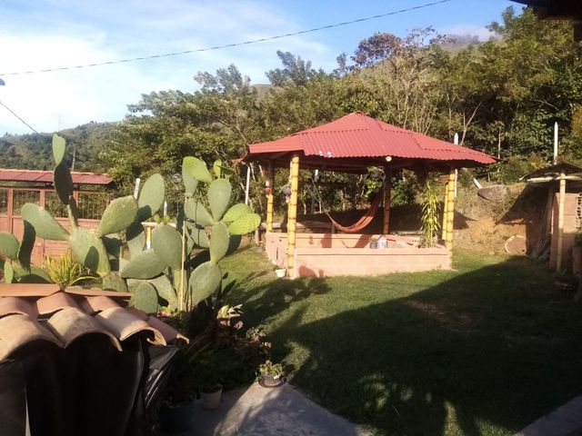 place photo 47