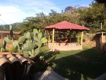 place photo 47