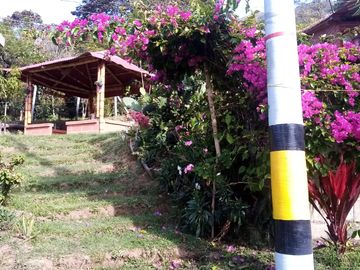 place photo 49