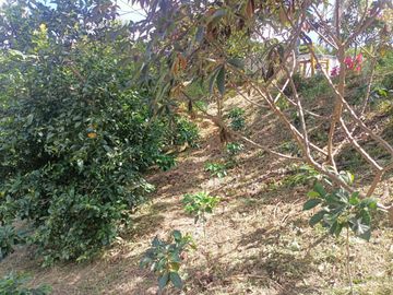 place photo 53
