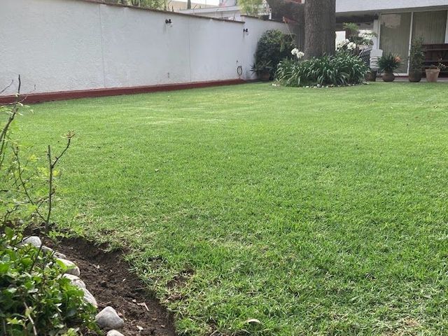 place photo 34