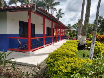 place photo 25