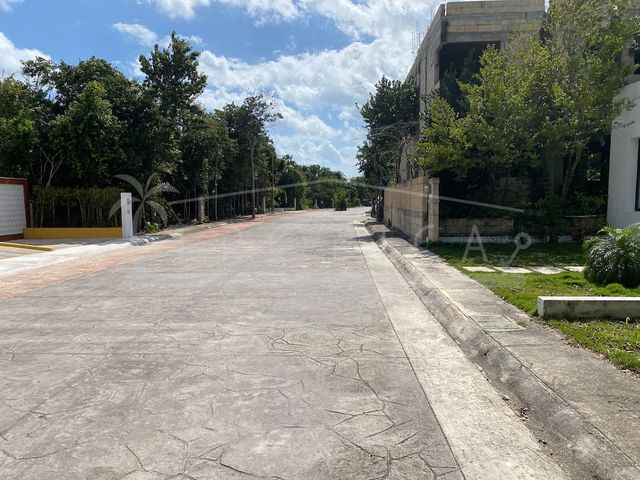 place photo 31