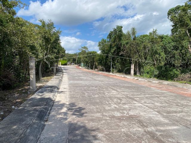 place photo 34