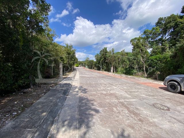 place photo 33
