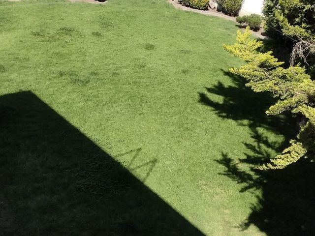 place photo 44