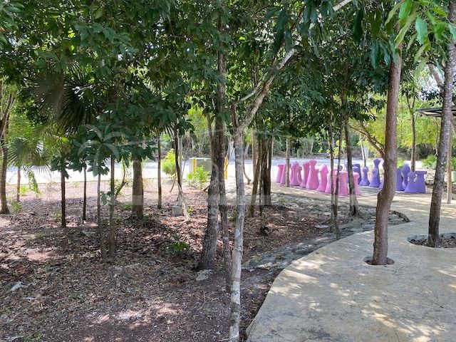 place photo 21